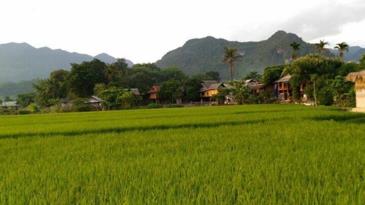 Lu'S Homestay Mai Châu Exterior foto